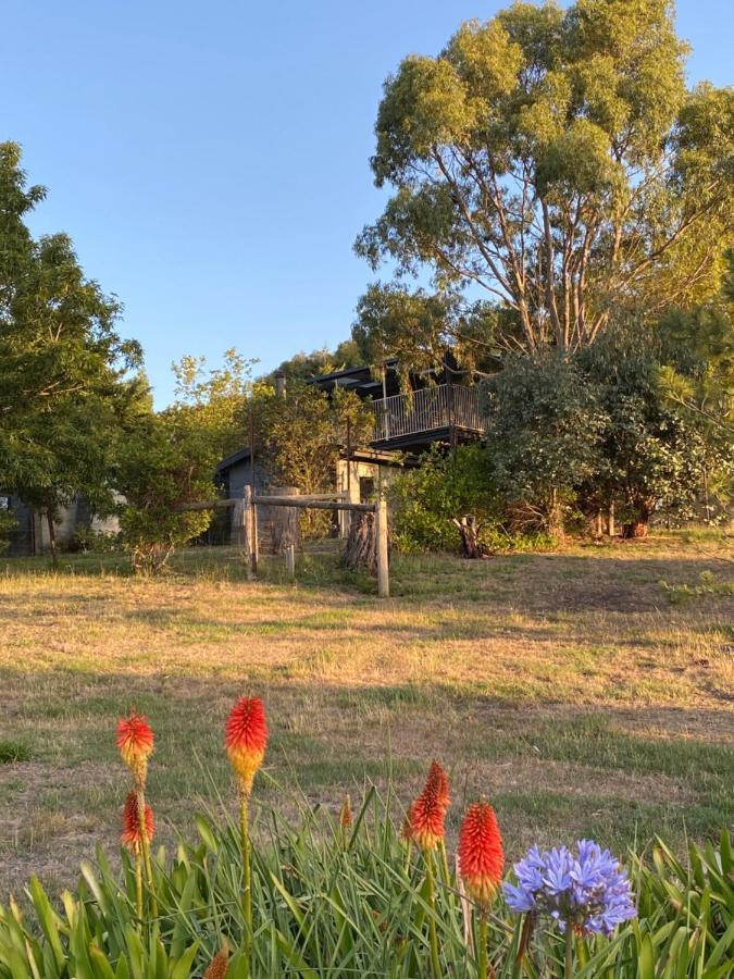 Highfield Cottage マセドニア エクステリア 写真